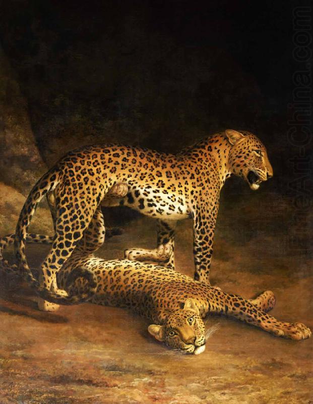 Two Leopards Lying in the Exeter, Jacques-Laurent Agasse